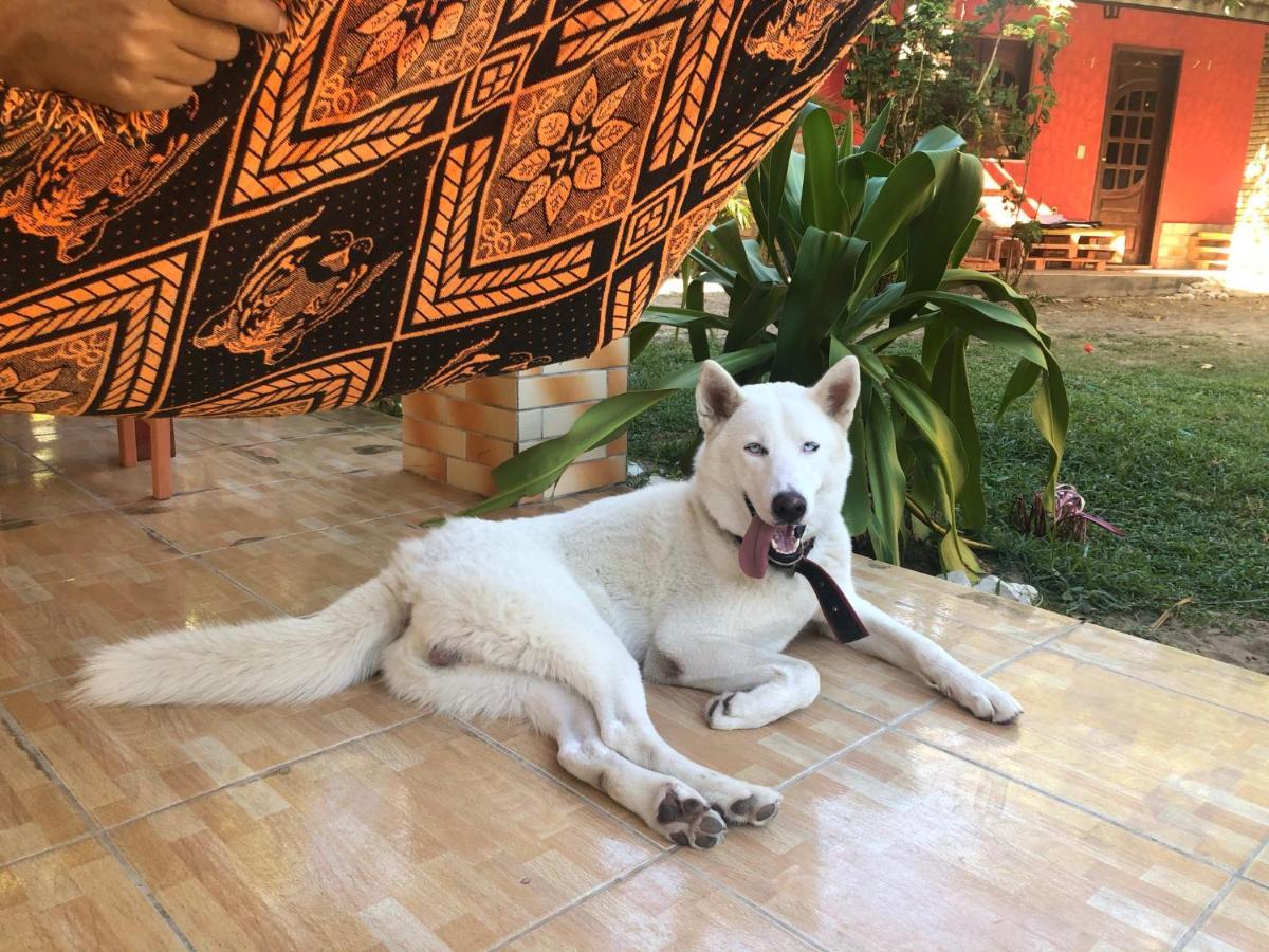Guest House Lua Paracuru Ngoại thất bức ảnh