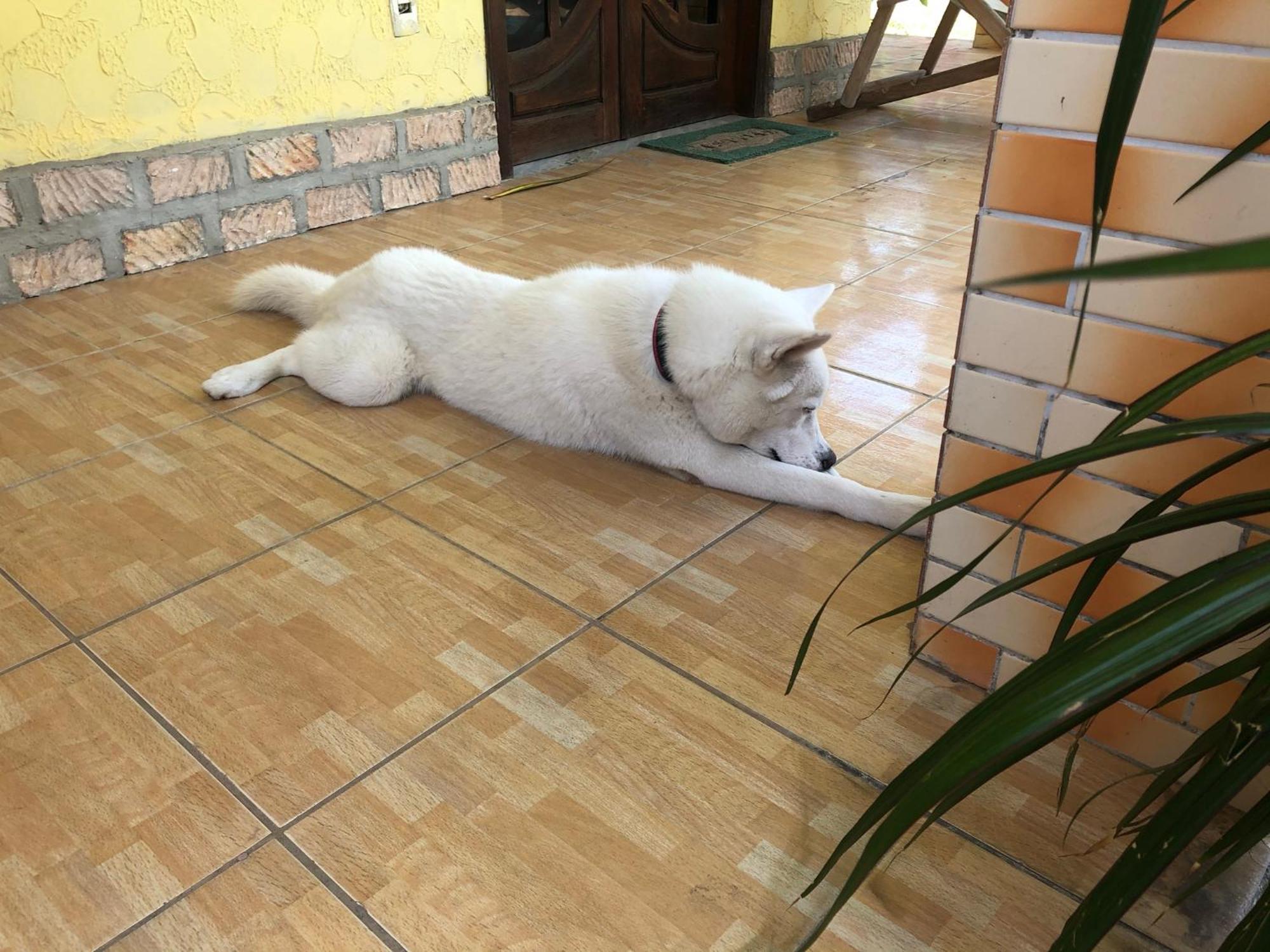 Guest House Lua Paracuru Ngoại thất bức ảnh